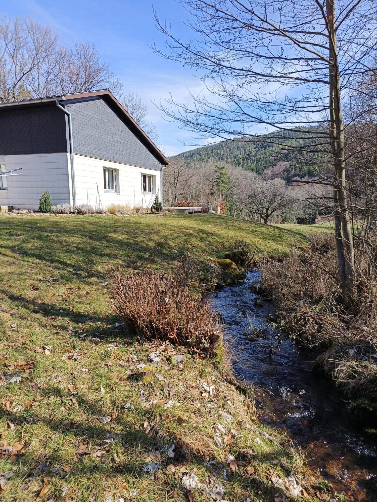 Le Gite De Bri Orbey Exteriör bild