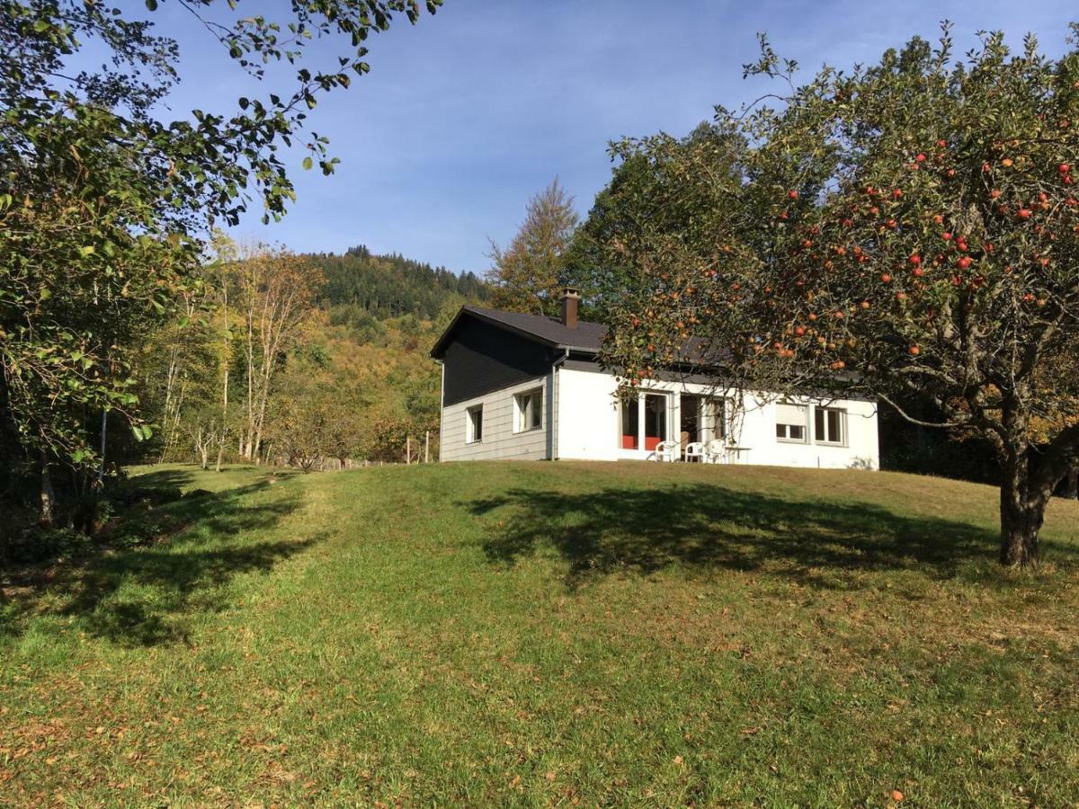 Le Gite De Bri Orbey Exteriör bild